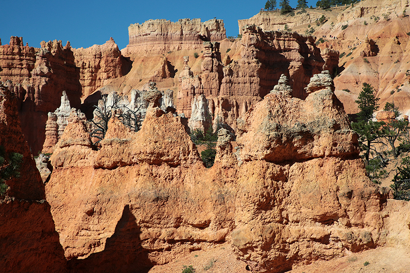 Bryce Canyon : Utah : Landscape Photos : Richard Moore : Photographer
